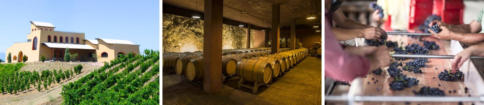 Bodegas Cal Grau